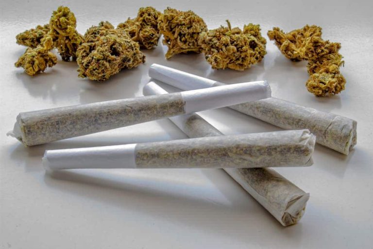 Exploring the Suitability of Delta-8 Pre-Rolls for Beginners