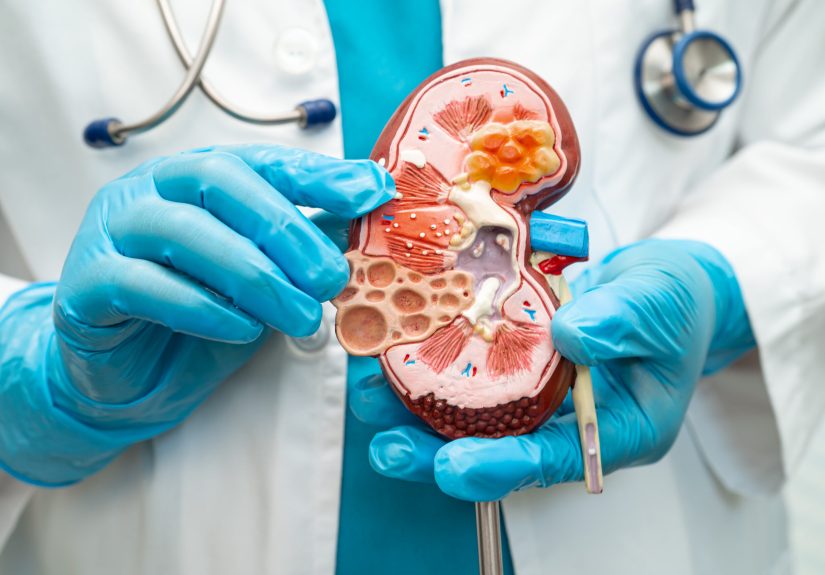 kidney care careers